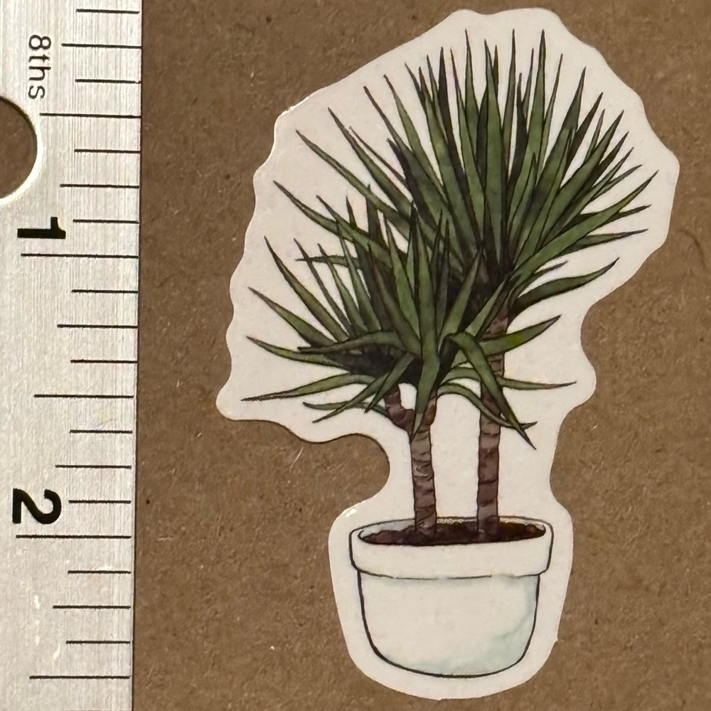 10/$10 Plant Aesthetic Sticker Waterproof Vinyl Water Bottle Laptop Crafts